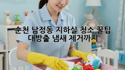 순천 남정동 지하실 청소🧹 꿀팁 대방출! 냄새 제거까지✨