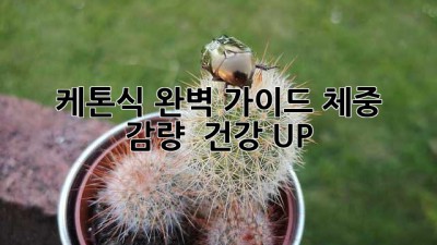 🥓 케톤식 완벽 가이드: 체중 감량 & 건강 UP! 💪
